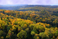 Autumn Colour in Algonquin Park