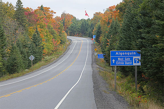 At km 0 of Highway 60 in Algonquin Park on September 18, 2025 (click to enlarge). At km 0 of Highway 60 in Algonquin Park on September 18, 2025 (click to enlarge).
