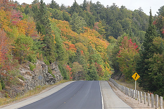 At km 13 of Highway 60 in Algonquin Park on September 18, 2025 (click to enlarge). At km 13 of Highway 60 in Algonquin Park on September 18, 2025 (click to enlarge).