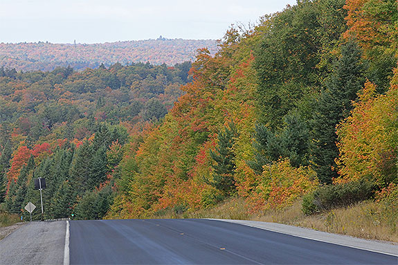 At km 16 of Highway 60 in Algonquin Park on September 18, 2025 (click to enlarge). At km 16 of Highway 60 in Algonquin Park on September 18, 2025 (click to enlarge).