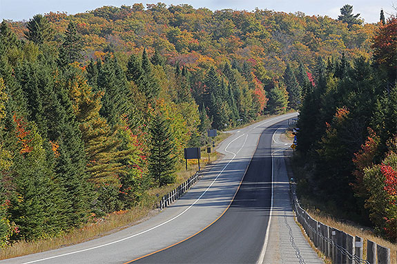 At km 20 of Highway 60 in Algonquin Park on September 18, 2025 (click to enlarge). At km 20 of Highway 60 in Algonquin Park on September 18, 2025 (click to enlarge).