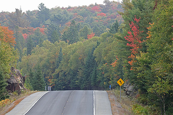At km 5 of Highway 60 in Algonquin Park on September 18, 2025 (click to enlarge). At km 5 of Highway 60 in Algonquin Park on September 18, 2025 (click to enlarge).