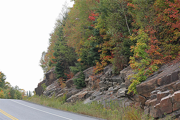 Along Highway 60 in Algonquin Park on September 18, 2025 (click to enlarge). Along Highway 60 in Algonquin Park on September 18, 2025 (click to enlarge).