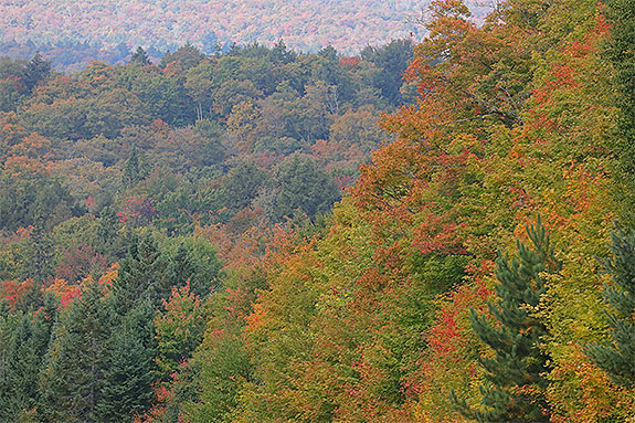 Near Smoke Lake in Algonquin Park on September 18, 2025 (click to enlarge). Near Smoke Lake in Algonquin Park on September 18, 2025 (click to enlarge).