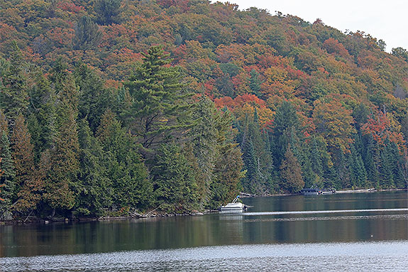 Tea Lake in Algonquin Park on September 18, 2025 (click to enlarge). Tea Lake in Algonquin Park on September 18, 2025 (click to enlarge).