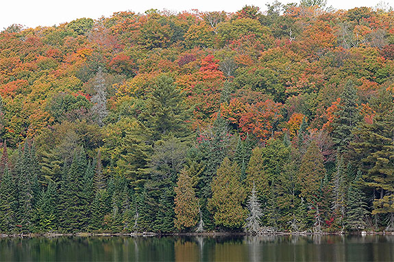 Tea Lake in Algonquin Park on September 18, 2025 (click to enlarge). Tea Lake in Algonquin Park on September 18, 2025 (click to enlarge).