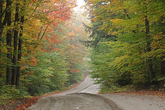 Looking south on the Arowhon Road in Algonquin Park on September 23, 2025 (click to enlarge). Looking south on the Arowhon Road in Algonquin Park on September 23, 2025 (click to enlarge).