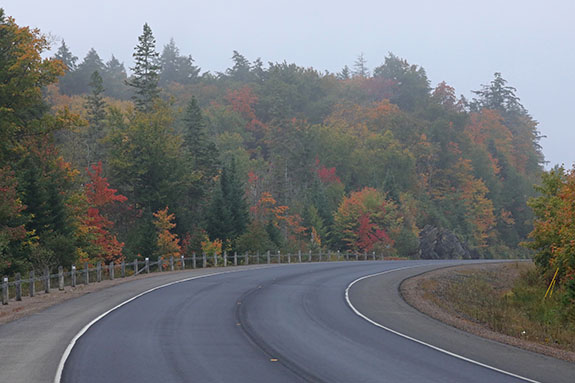 At km 12 of Highway 60 in Algonquin Park on September 23, 2025 (click to enlarge). At km 12 of Highway 60 in Algonquin Park on September 23, 2025 (click to enlarge).