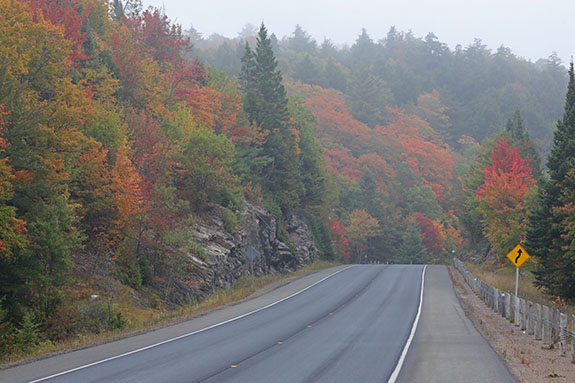 At km 13 of Highway 60 in Algonquin Park on September 23, 2025 (click to enlarge). At km 13 of Highway 60 in Algonquin Park on September 23, 2025 (click to enlarge).