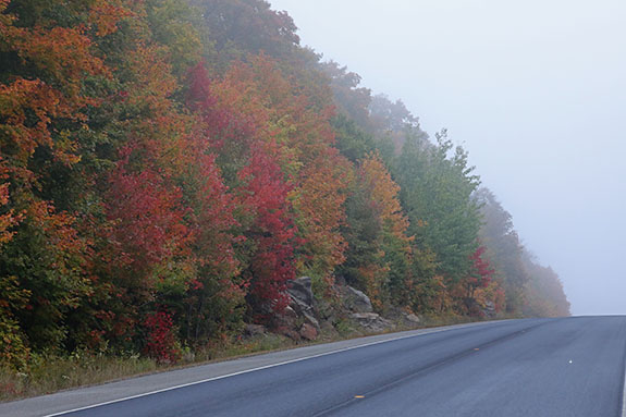 At km 17 of Highway 60 in Algonquin Park on September 23, 2025 (click to enlarge). At km 17 of Highway 60 in Algonquin Park on September 23, 2025 (click to enlarge).