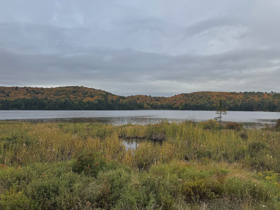At Brewer Lake in Algonquin Park on September 25, 2025 At Brewer Lake in Algonquin Park on September 25, 2025