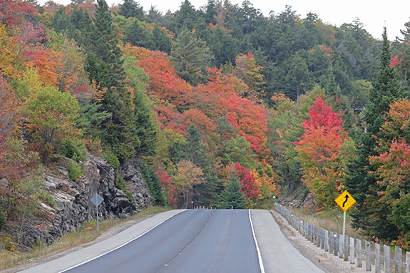 At km 13 of Highway 60 in Algonquin Park on September 25, 2025 At km 13 of Highway 60 in Algonquin Park on September 25, 2025