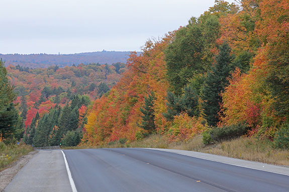 At km 16 of Highway 60 in Algonquin Park on September 25, 2025 At km 16 of Highway 60 in Algonquin Park on September 25, 2025