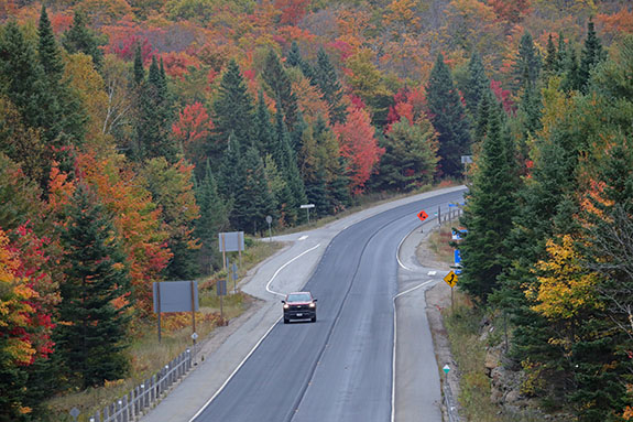 At km 20 of Highway 60 in Algonquin Park on September 25, 2025 At km 20 of Highway 60 in Algonquin Park on September 25, 2025