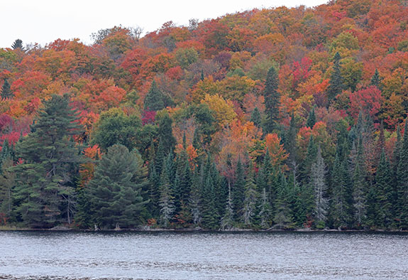 Tea Lake in Algonquin Park on September 25, 2025 Tea Lake in Algonquin Park on September 25, 2025