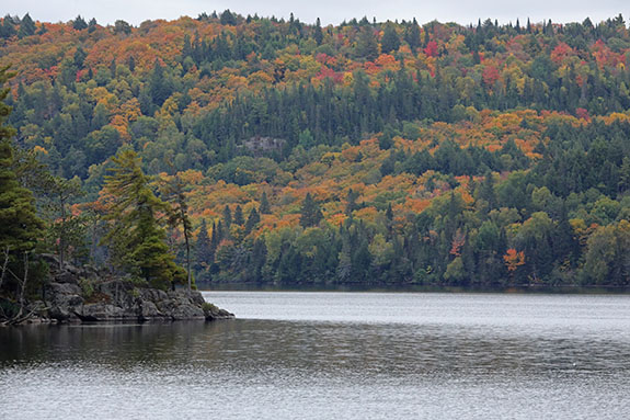 At Lake of Two Rivers in Algonquin Park on September 25, 2025 At Lake of Two Rivers in Algonquin Park on September 25, 2025