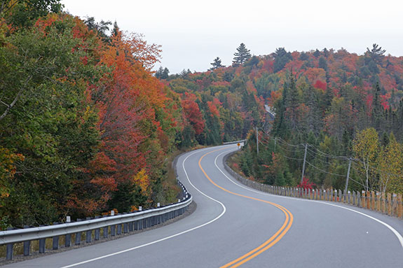 Approaching the West Gate in Algonquin Park on September 25, 2025 (click to enlarge). Approaching the West Gate in Algonquin Park on September 25, 2025 (click to enlarge).