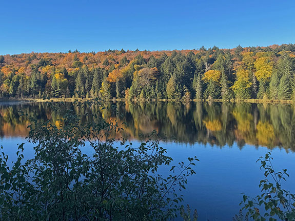 At Brewer Lake in Algonquin Park on October 1, 2025 At Brewer Lake in Algonquin Park on October 1, 2025