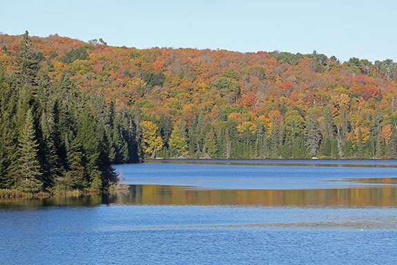 At Brewer Lake in Algonquin Park on October 1, 2025 At Brewer Lake in Algonquin Park on October 1, 2025