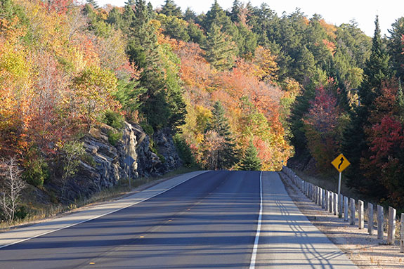 At km 13 of Highway 60 in Algonquin Park on October 1, 2025 At km 13 of Highway 60 in Algonquin Park on October 1, 2025