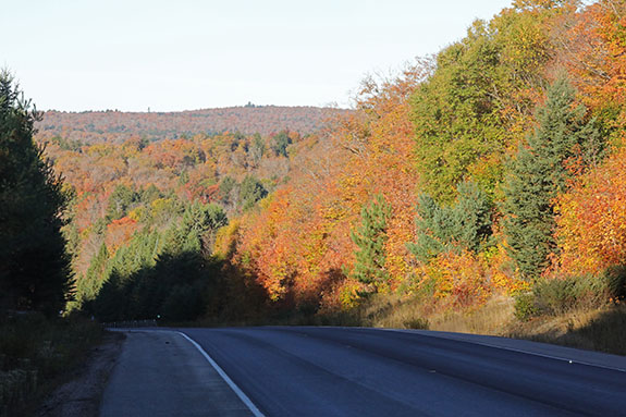 At km 16 of Highway 60 in Algonquin Park on October 1, 2025 At km 16 of Highway 60 in Algonquin Park on October 1, 2025