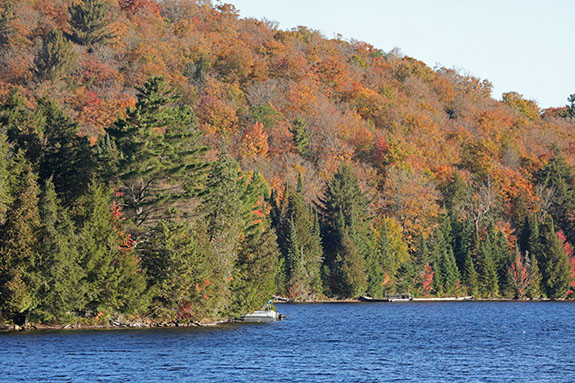At Tea Lake in Algonquin Park on October 1, 2025 At Tea Lake in Algonquin Park on October 1, 2025
