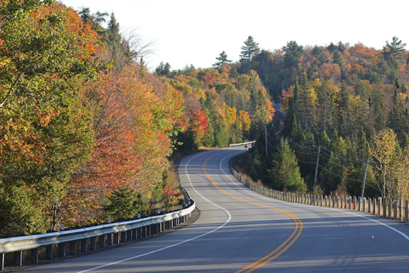 Image: Approaching the West Gate in Algonquin Park on October 1, 2025 (click to enlarge). Image: Approaching the West Gate in Algonquin Park on October 1, 2025 (click to enlarge).