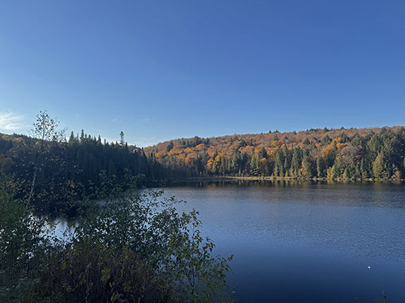 Image: At Brewer Lake in Algonquin Park on October 6, 2025. (Click image to enlarge.) Image: At Brewer Lake in Algonquin Park on October 6, 2025. (Click image to enlarge.)