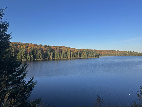 Image: At Brewer Lake in Algonquin Park on October 6, 2025. (Click image to enlarge.) Image: At Brewer Lake in Algonquin Park on October 6, 2025. (Click image to enlarge.)
