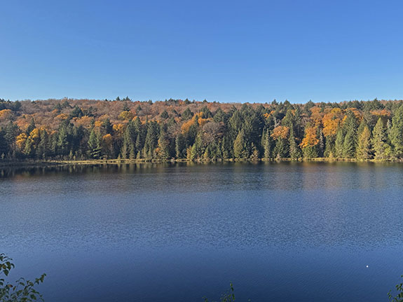 Image: At Brewer Lake in Algonquin Park on October 6, 2025. (Click image to enlarge.) Image: At Brewer Lake in Algonquin Park on October 6, 2025. (Click image to enlarge.)