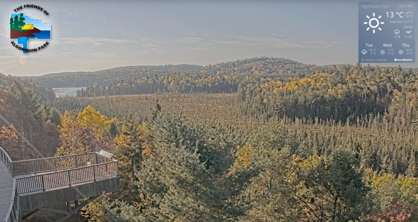 Image: View from the Algonquin Park Webcam at the Visitor Centre in Algonquin Park on October 6, 2025. (Click image to enlarge.) Image: View from the Algonquin Park Webcam at the Visitor Centre in Algonquin Park on October 6, 2025. (Click image to enlarge.)