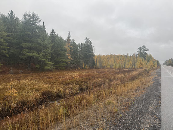 Image: Fall colour along Highway 60 in Algonquin Park on October 23, 2025. (Click image to enlarge.) Image: Fall colour along Highway 60 in Algonquin Park on October 23, 2025. (Click image to enlarge.)