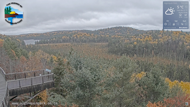 Image: Fall colour at the Algonquin Park Visitor Centre on October 23, 2025. (Click image to enlarge.) Image: Fall colour at the Algonquin Park Visitor Centre on October 23, 2025. (Click image to enlarge.)