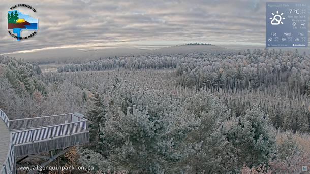 Click for a live view of Algonquin Park's fall colours! Click for a live view of Algonquin Park's fall colours!