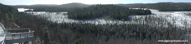 Winter in Algonquin Park - Live View!