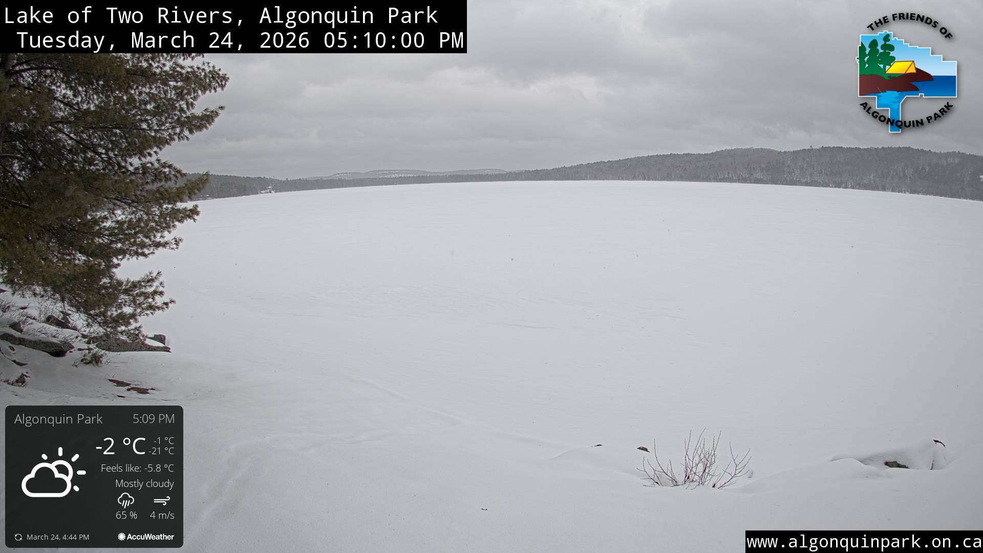 Image: Lake of Two Rivers in Algonquin Park on March 24, 2026 (click to enlarge). Image: Lake of Two Rivers in Algonquin Park on March 24, 2026 (click to enlarge).