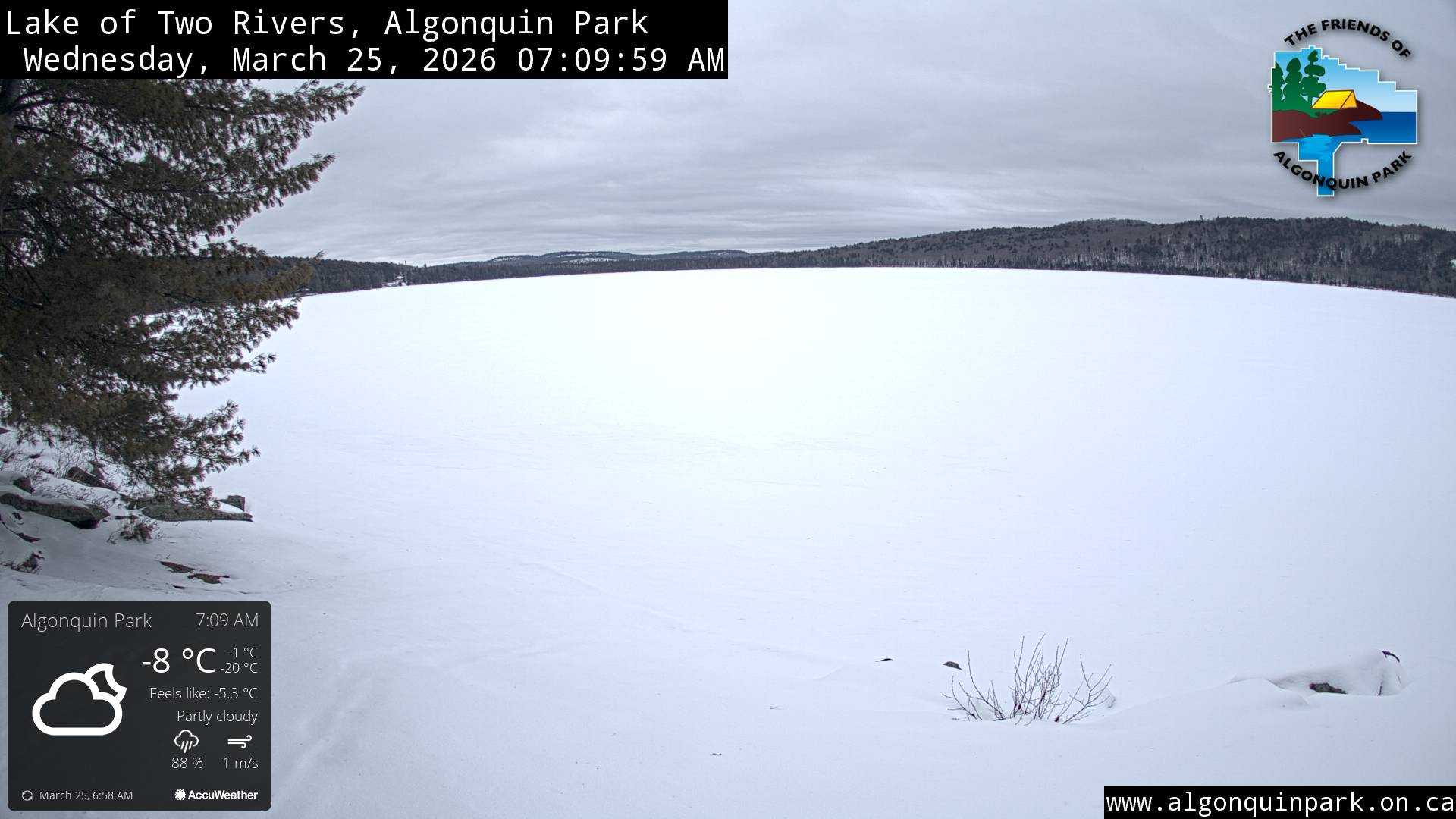 Image: Lake of Two Rivers in Algonquin Park on March 25, 2026 (click to enlarge). Image: Lake of Two Rivers in Algonquin Park on March 25, 2026 (click to enlarge).