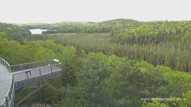 Sunrise at the Algonquin Park Visitor Centre in Algonquin Park on May 27, 2021.