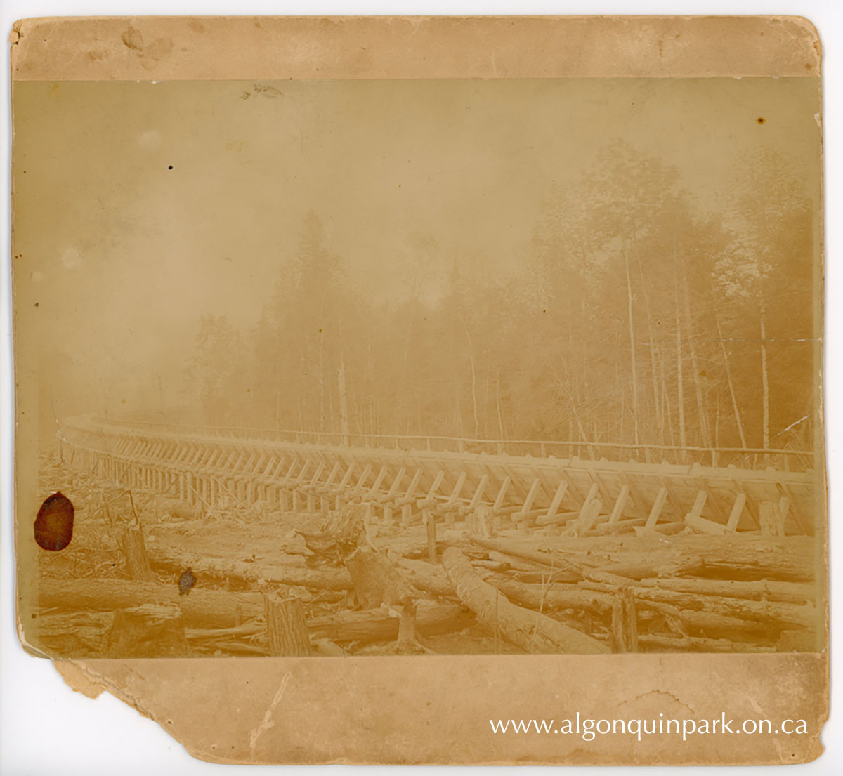Section of the flume of the?Gilmour?Tramway, c. 1894 - 1896. A phone line is visible running along the?Gilmour?Tramway. Workers would need to communicate along the line if there was a jam. APPAC, 2024.33.3, In memory of Patrick O'Neill and Michael Joseph O'Neill. 