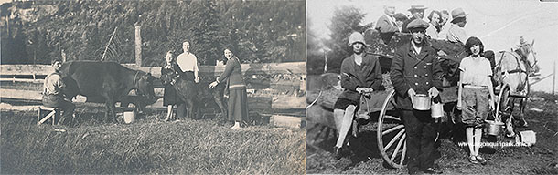 Image: Left: Postcard featuring a black and white image of Edwin Thomas milking a cow, likely in the Canoe Lake area, c. 1910s – 1920s. APPAC, 1972.3.116.1, R. Thomas & J. Wilkinson. Right: A horse-drawn wagon load of people on a berry picking excursion near the Highland Inn. APPAC, 1976.7.5, J. Martin. 
