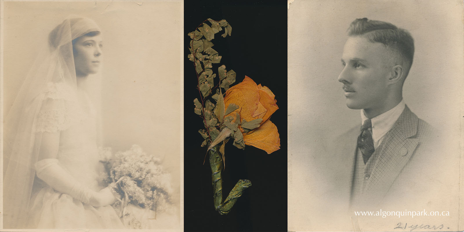 Portrait of Jessie Rogers Crompton in her wedding attire holding a bouquet; Alfred vanSomeren’s boutonniere made with a rose, now dried to a yellow/orange colour, and green foliage, contained in an envelope with his handwriting “My Wedding Flower Jan. 17th 1922”; portrait of Alfred vanSomeren at age 21, a few years before his wedding day. APPAC, 2022.4.13-15. Donated by Pam Garratt Dunlop on behalf of the vanSomeren Family.