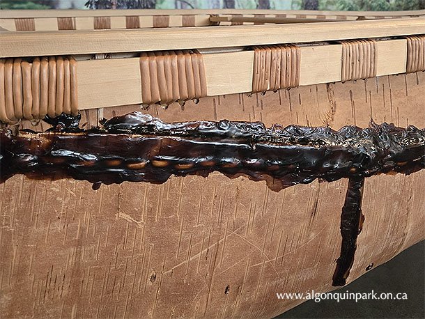 Detail of the birch bark canoe built by Chuck Commanda, Joanne Dumoulin and community partners in 2022. The canoe is on loan to the Algonquin Park Visitor Centre.