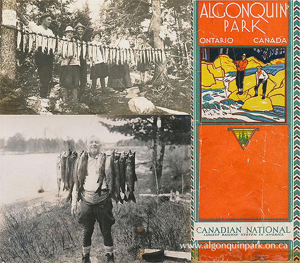 Picture postcard with image of large catch of fish, Canoe Lake, 1916. APPAC, 1972.3.180, Thomas & Wilkinson. Brochure cover, Algonquin Park Ontario Canada, Canadian National Railway, 1928. APPAC, I-4-1b. Photograph from V.B. Gray’s fishing trip captioned “W.J. (Dad) Taylor of Woodstock takes a few beauties for breakfast”, 1925. APPAC, x2024.4.1-77. 