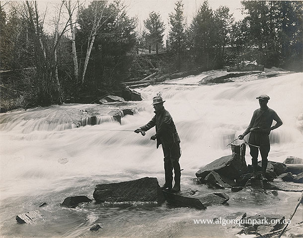 Guide George Wade stands behind V.B. Gray who is fly fishing in Lavieille Creek, 1925. Guide Wade holds a net strung with Gray’s catch so far. APPAC, x2024.4.1-77. 