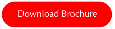 Download the Algonquin Park Group Education Program School and Youth Group Brochure