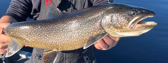 Guided Trips from Opeongo Lake Guide Service