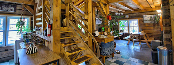 Accommodation at Wolf Den Nature Retreat