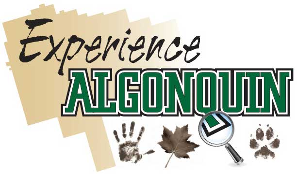 Experience Algonquin Workshops