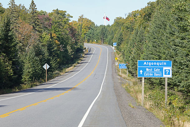 At the West Gate in Algonquin Park on September 10, 2024