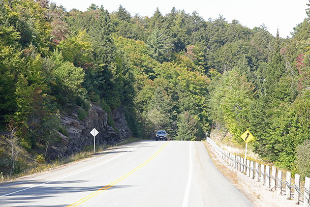 Near Hardwood Lookout Trail in Algonquin Park on September 10, 2024
